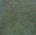 Шахтинская плитка - Керамогранит Анды зеленый 40х40