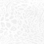 KERAMA-MARAZZI - плитка Керама Марацци Тигр 50,2х50,2 см Арт: 4529 Рим белый